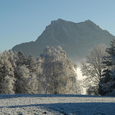 Hotel Altmuensterhof Buitenkant foto