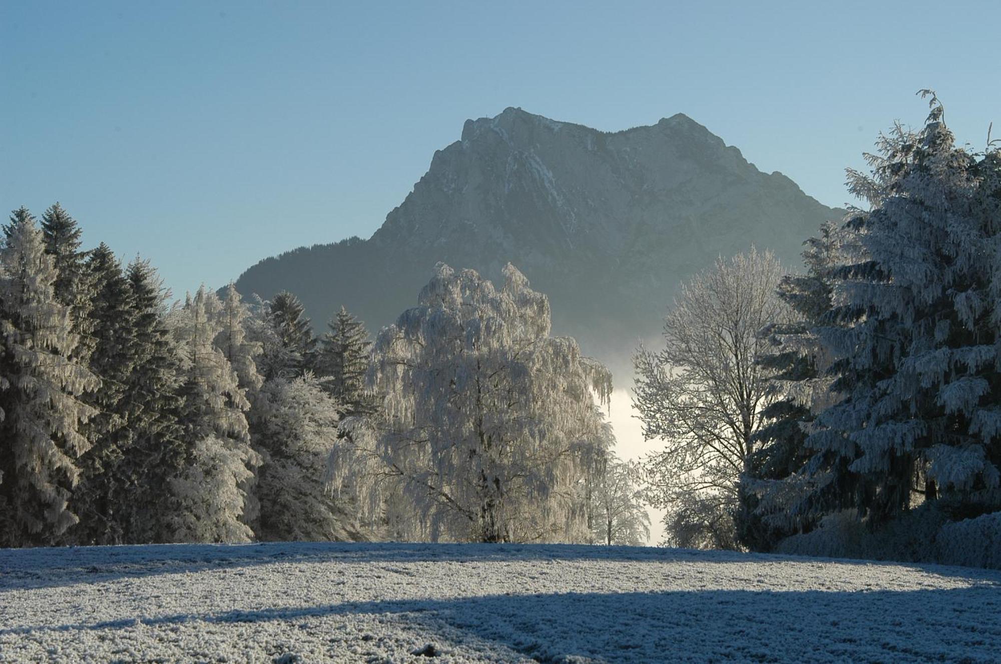 Hotel Altmuensterhof Buitenkant foto