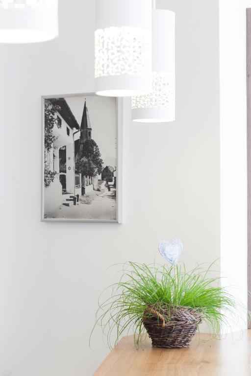 Hotel Altmuensterhof Buitenkant foto